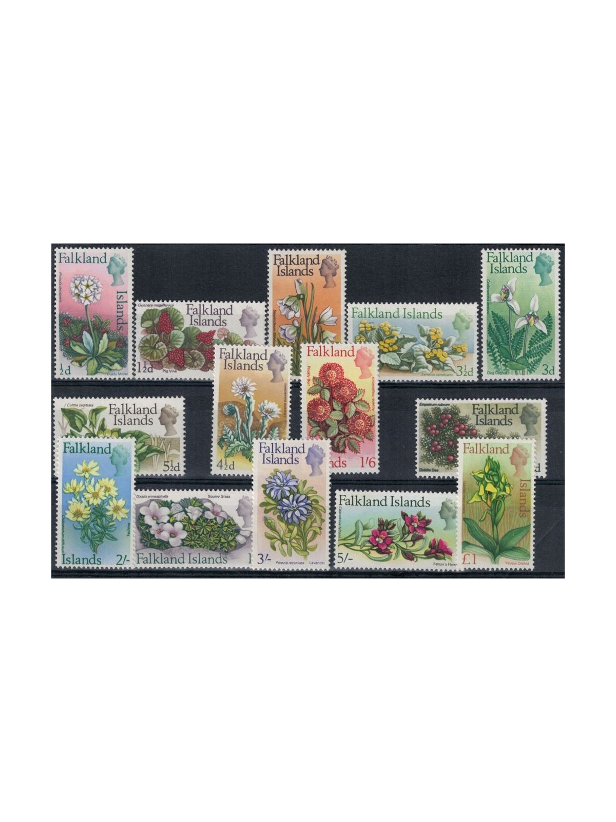 FALKLAND 1968 Ordinary series, flowers 14v MNH**