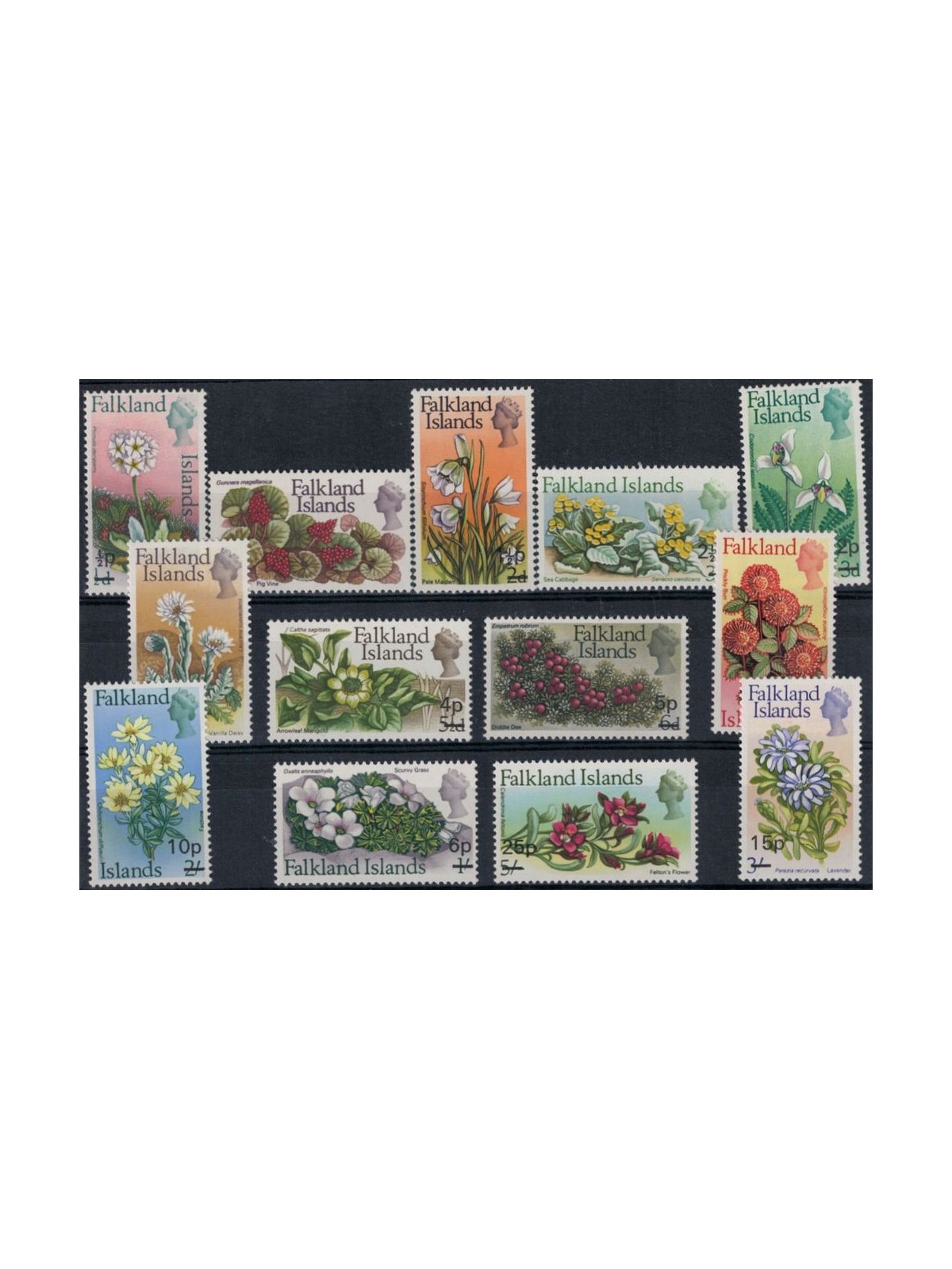 FALKLAND 1971 Ordinary series, flowers 13v MNH**
