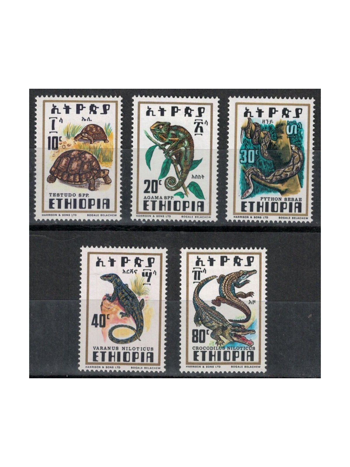 ETHIOPIA 1976 Reptiles 5v MNH**