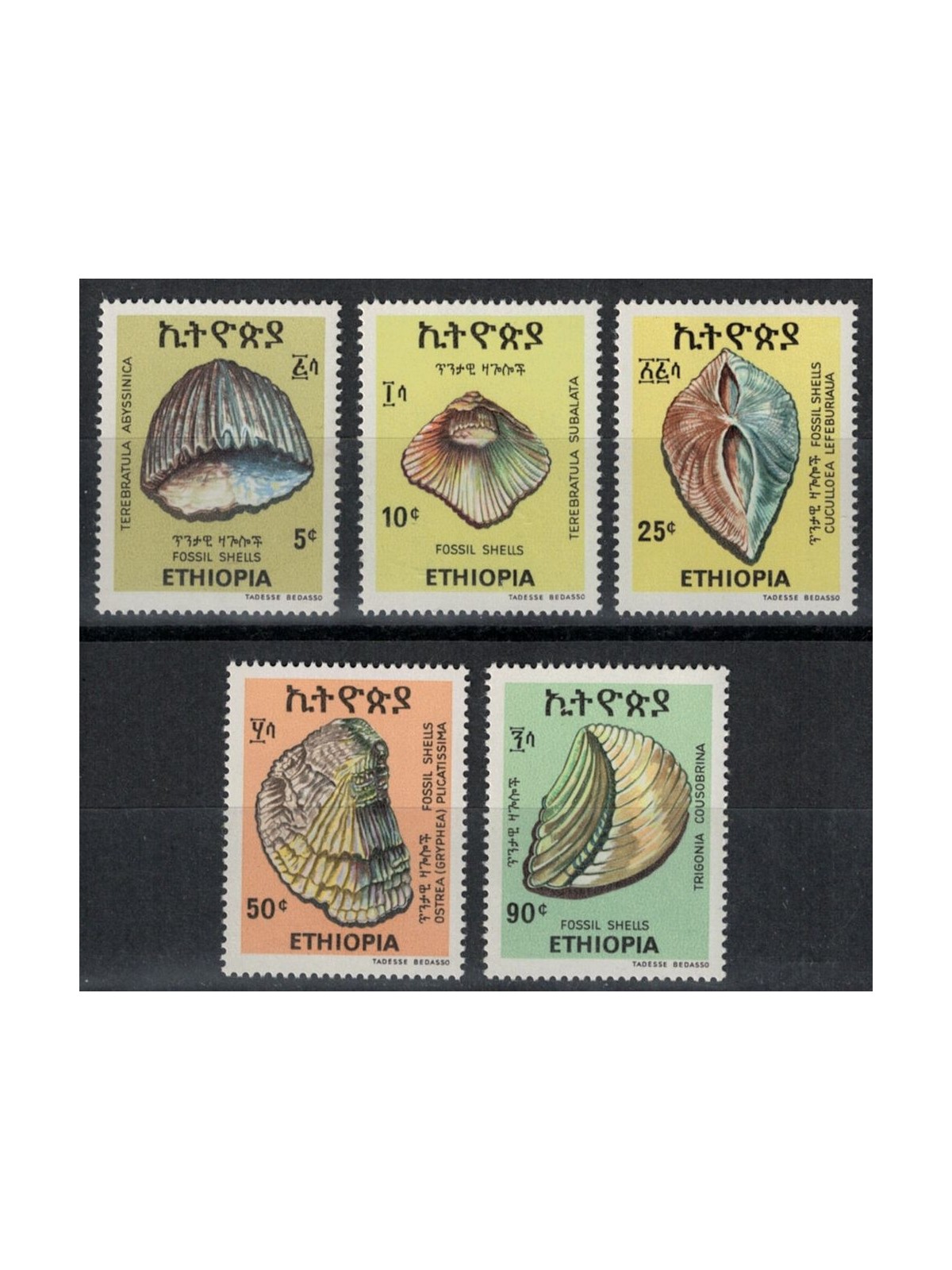 ETHIOPIA 1977 Fossil shells 5v MNH**