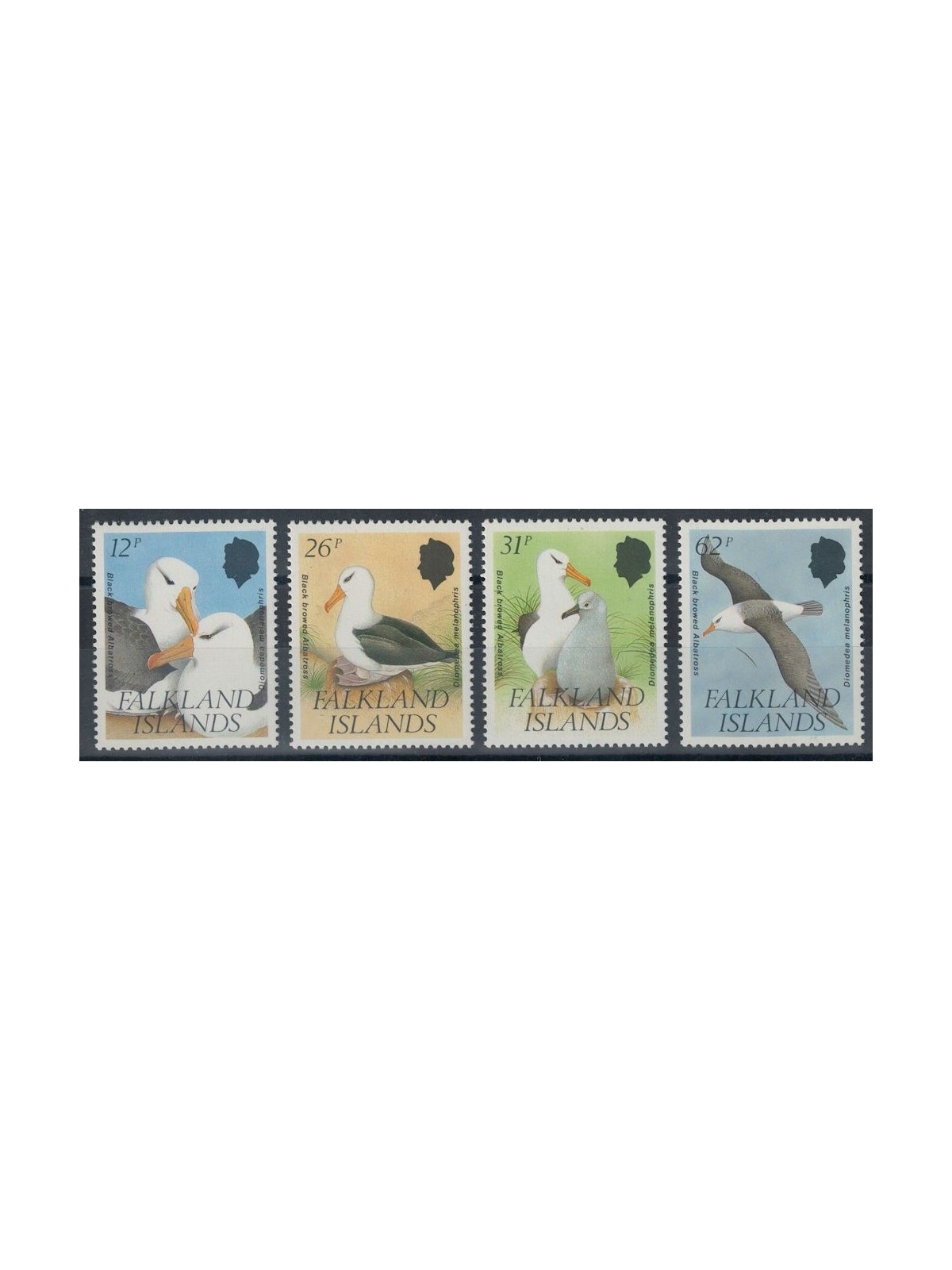 FALKLAND 1990 Protected wildlife (albatross) 4v MNH**