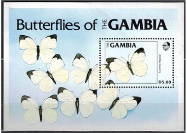 GAMBIA 1985 Fauna, butterflies s/s MNH**