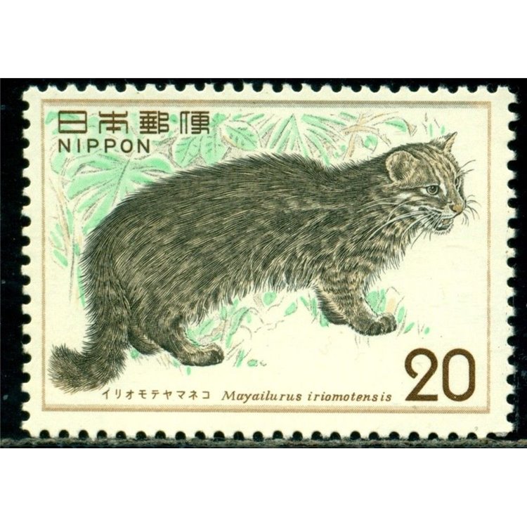 GIAPPONE 1974 Salvaguardia della natura, Gatto 1v MNH**