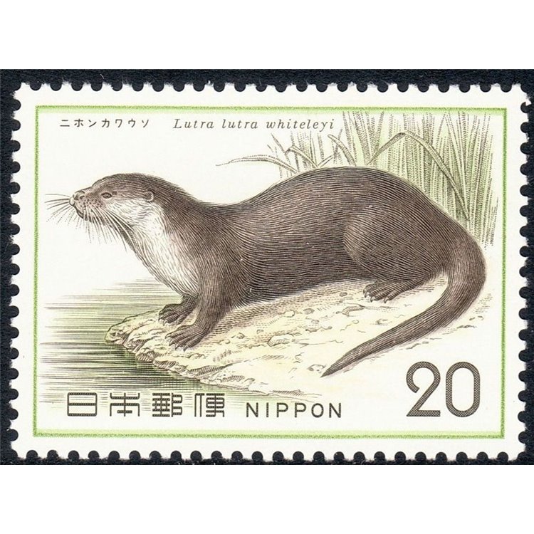 GIAPPONE 1974 Salvaguardia della natura, Lontra 1v MNH**