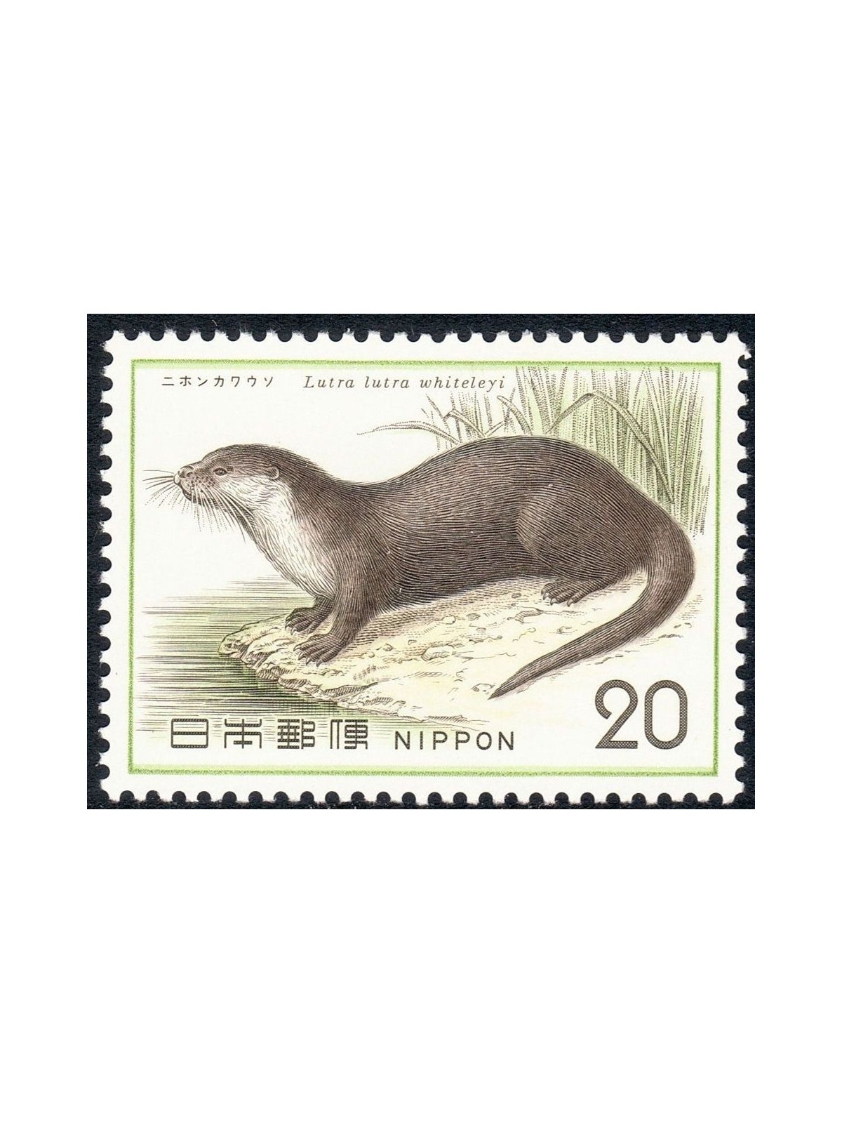 GIAPPONE 1974 Salvaguardia della natura, Lontra 1v MNH**