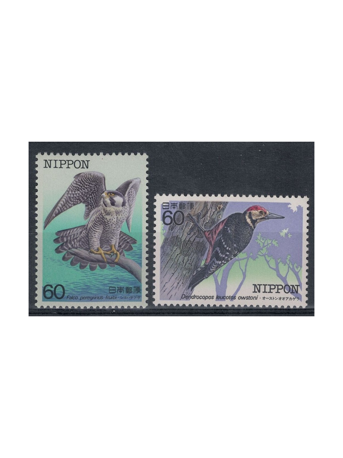 JAPAN 1984 Endangered Birds, 5th series 2v MNH**