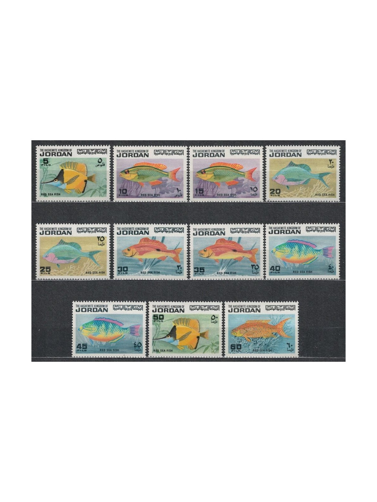 GIORDANIA 1974 Fauna marina, pesci 11v MNH**