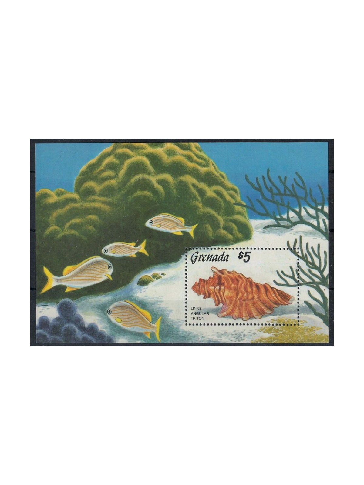 GRENADA 1986 Marine fauna, shells s/s MNH**