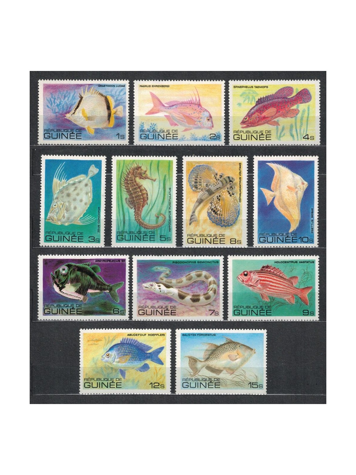 GUINEA 1980 Pesci - Fish 12v MNH**