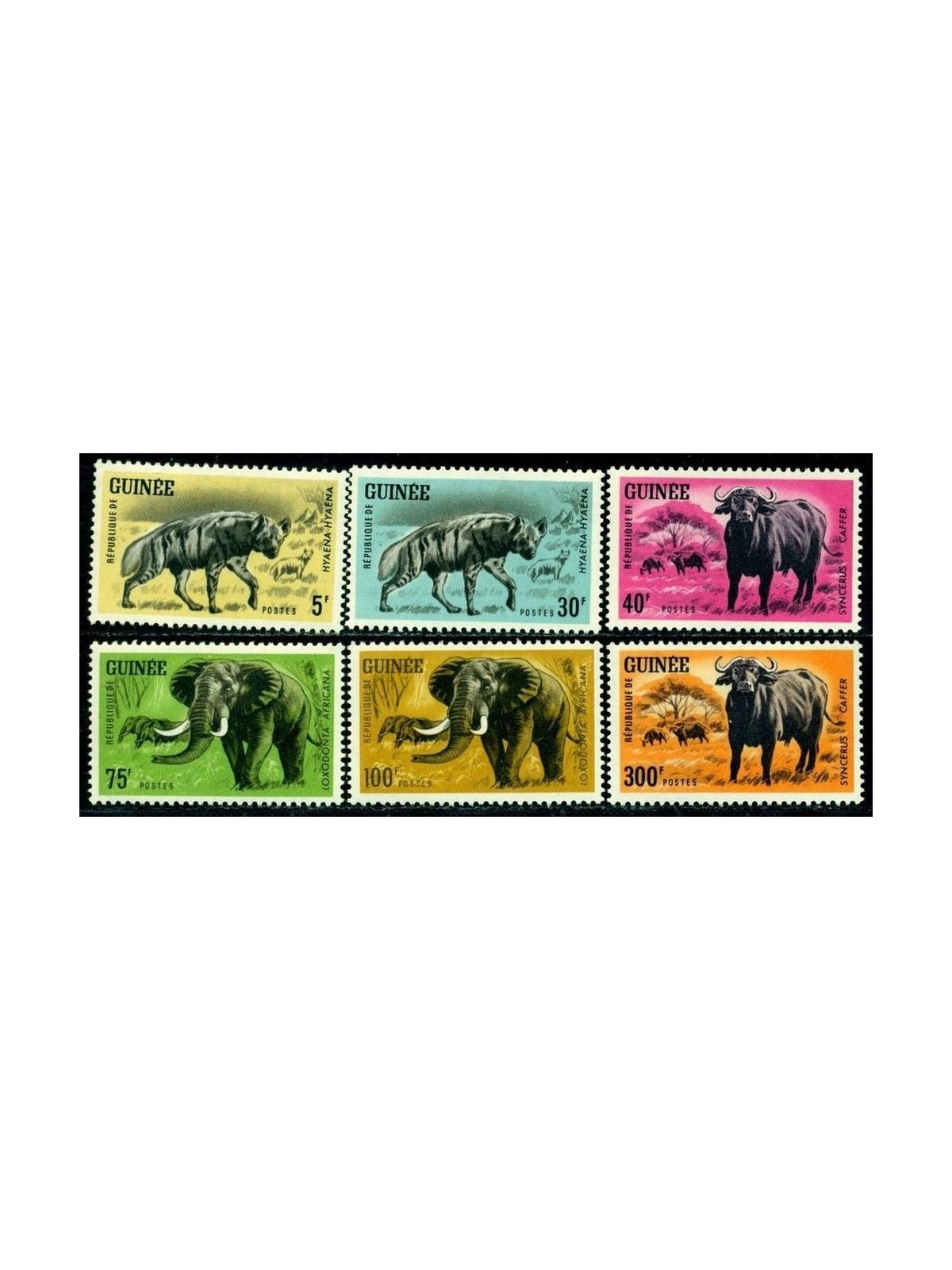 GUINEA 1964 Fauna, animali 6v MNH**