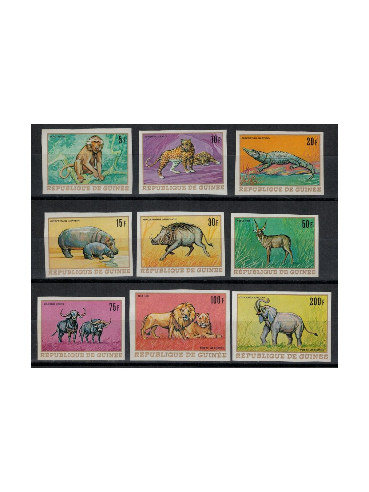 GUINEA 1968 African fauna, animals 9v MNH**