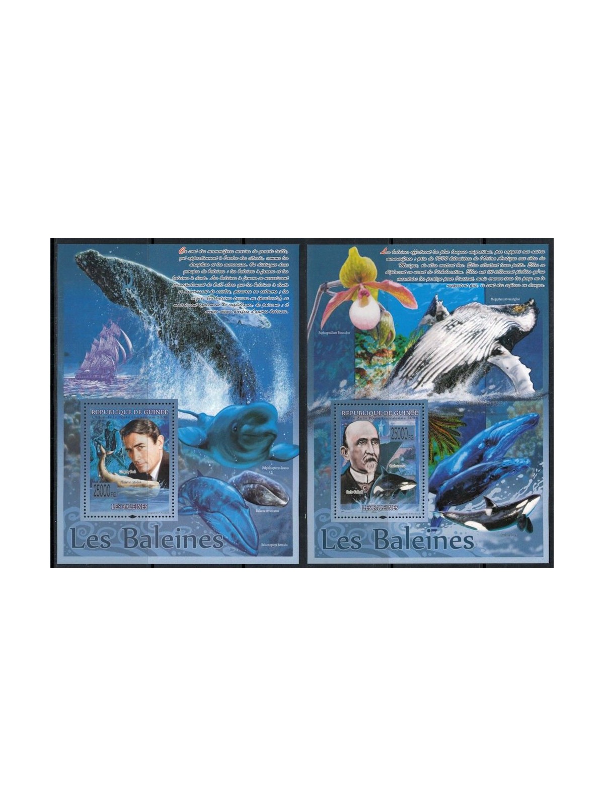 GUINEA 2008 Marine fauna, whales 2 s/s MNH**