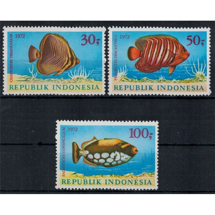 INDONESIA 1972 Fauna marina (Pesci) 3v MNH**