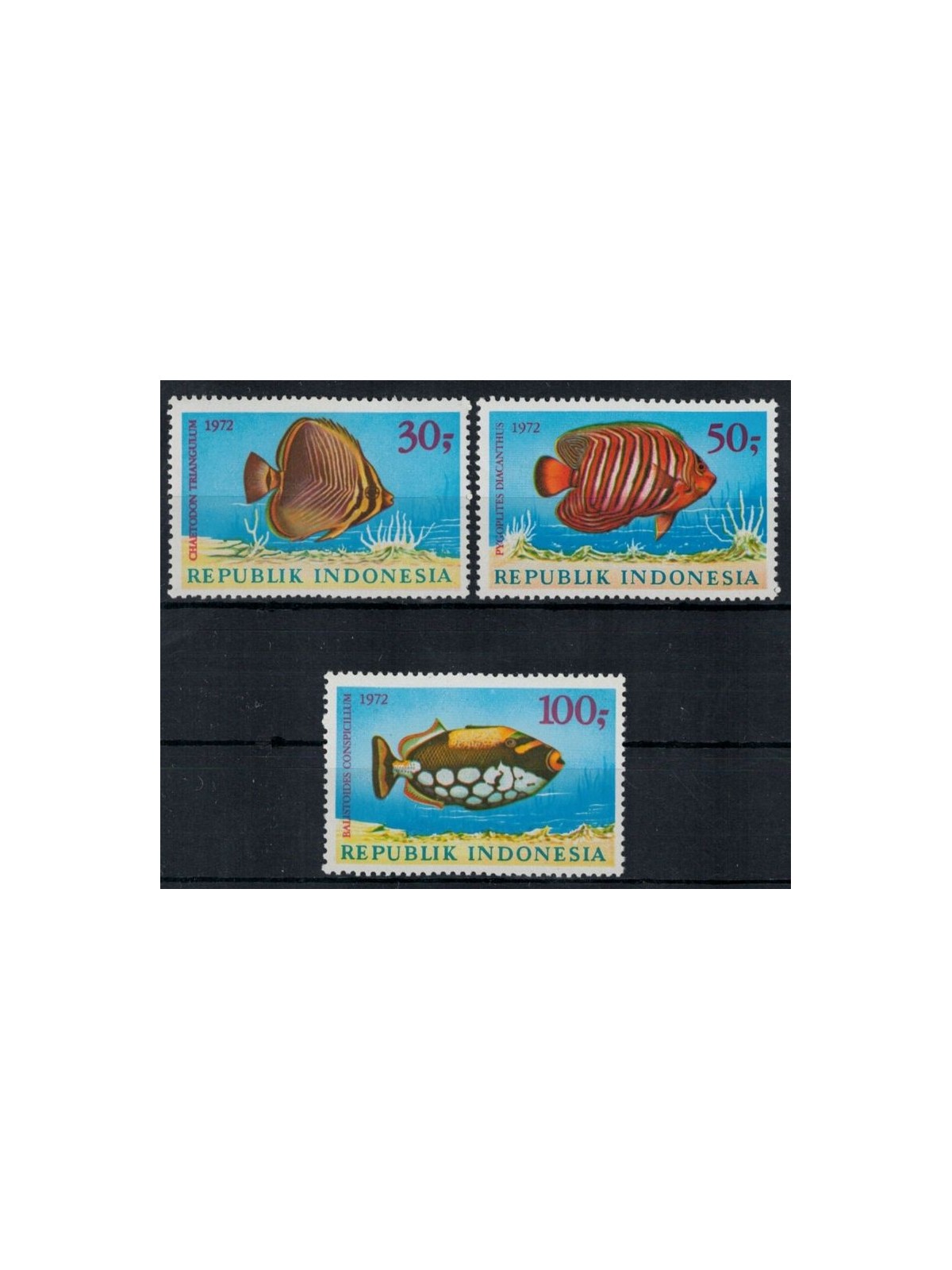 INDONESIA 1972 Fauna marina (Pesci) 3v MNH**
