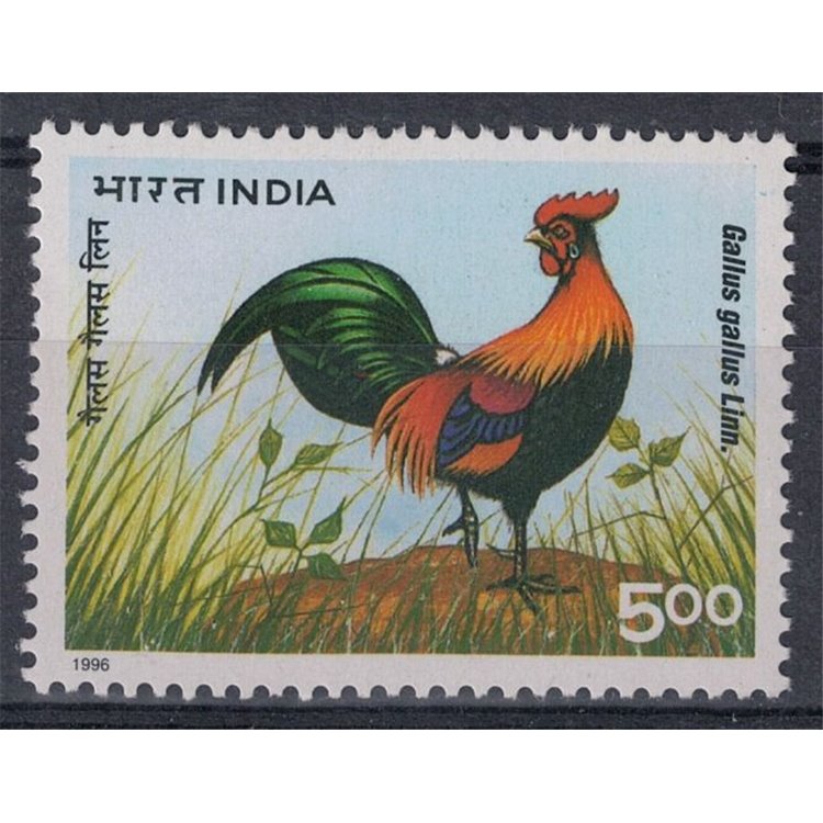 INDIA 1996 Congresso mondiale di avicoltura 1v MNH**