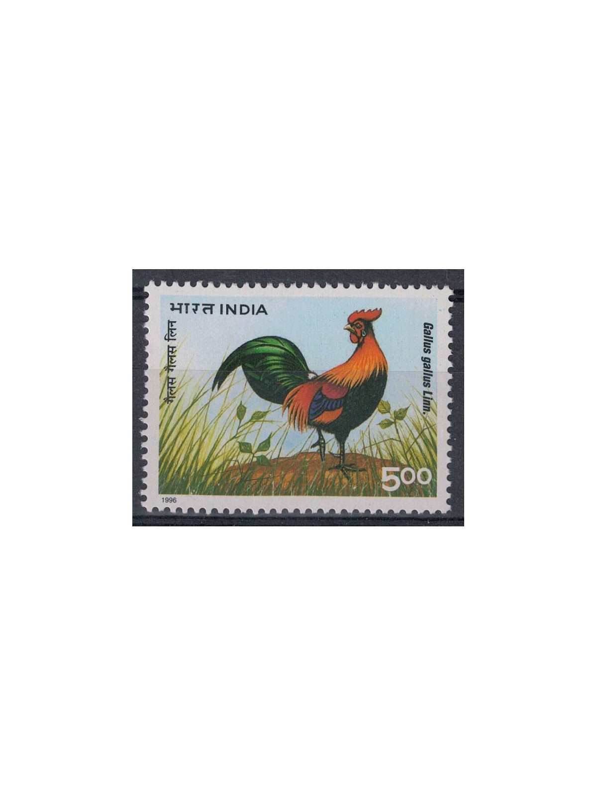 INDIA 1996 Congresso mondiale di avicoltura 1v MNH**