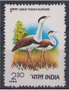 INDIA 1980 Simposio internazionale sulle otarde 1v MNH**