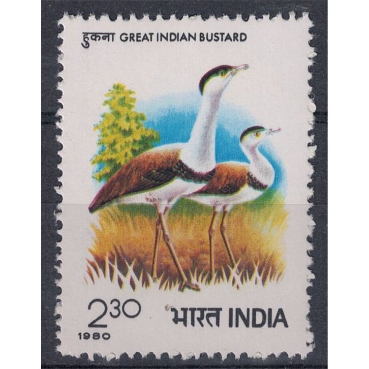 INDIA 1980 International Symposium on Bustards 1v MNH**