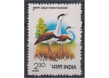 INDIA 1980 Simposio internazionale sulle otarde 1v MNH**