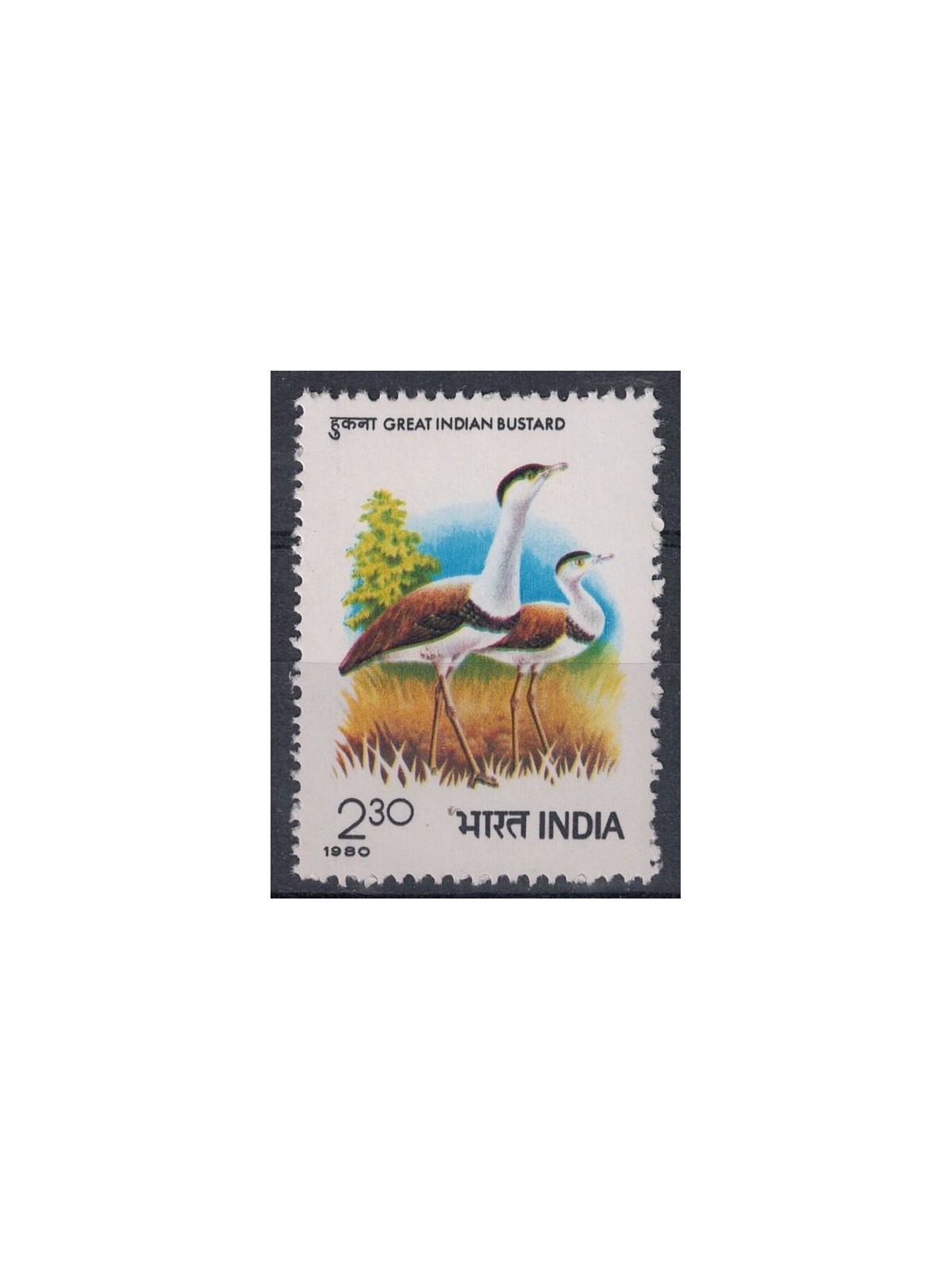 INDIA 1980 Simposio internazionale sulle otarde 1v MNH**