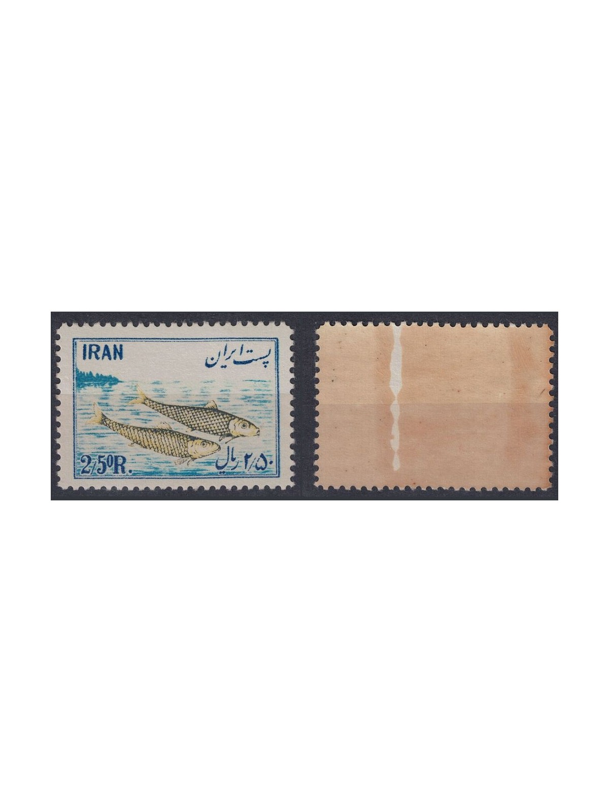 IRAN 1954 Fish industry 2.5r MNH**