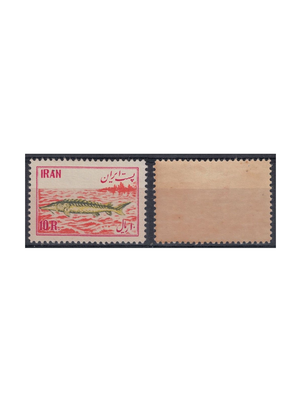 IRAN 1954 Fish industry 10r red 1v MNH**