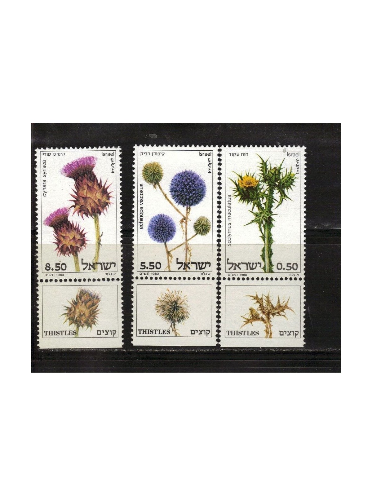 ISRAELE 1980 Fiori selvatici 3v MNH**