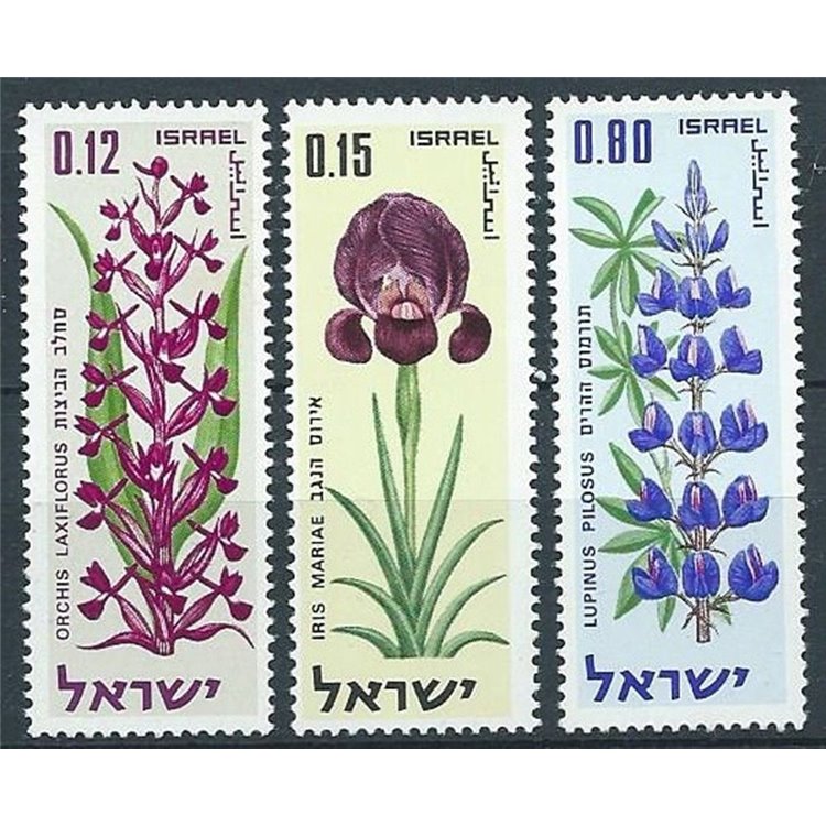 ISRAEL 1970 Anniversary of the State 3v MNH**