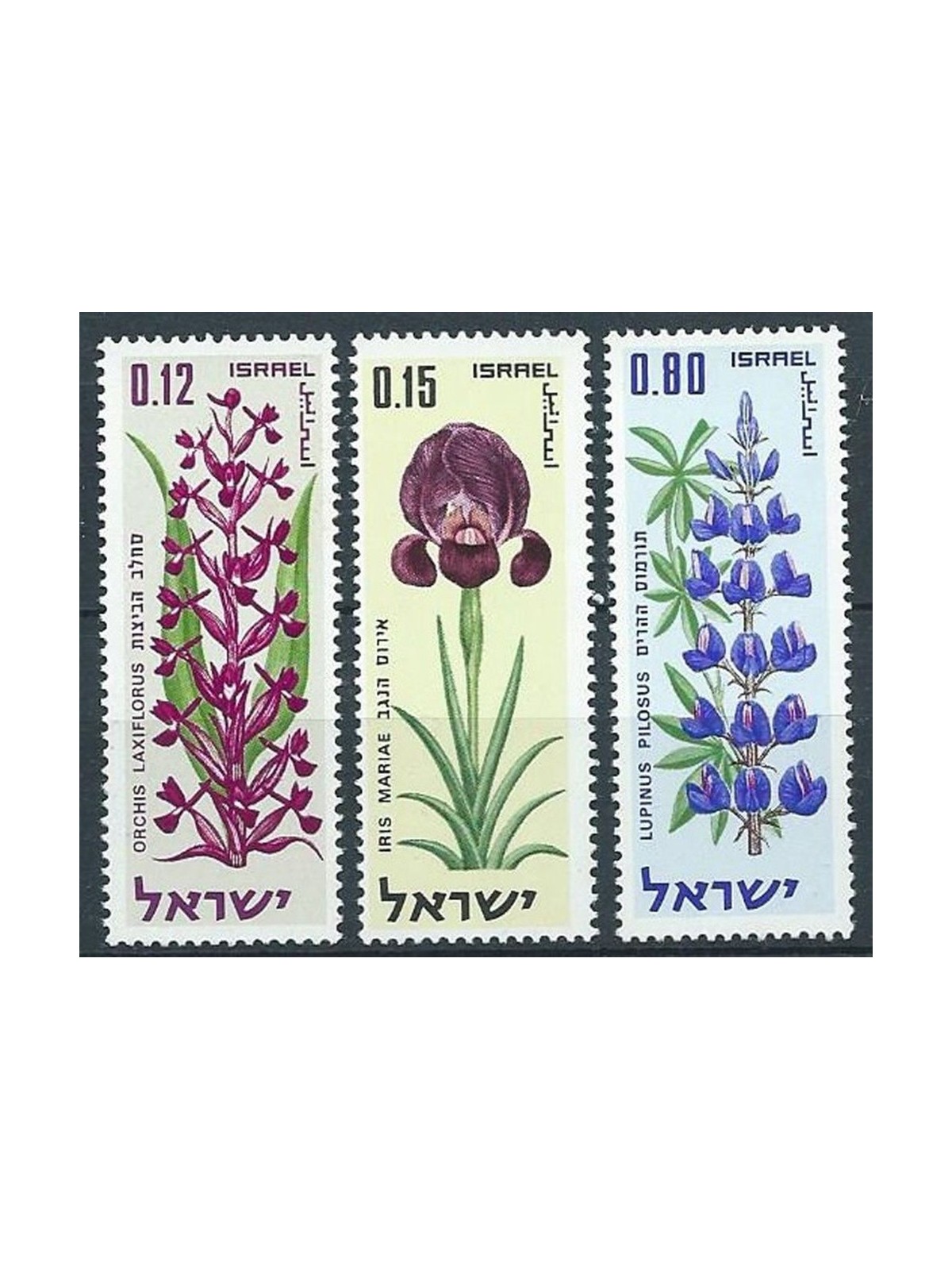 ISRAELE 1970 Anniversario dello Stato 3v MNH**
