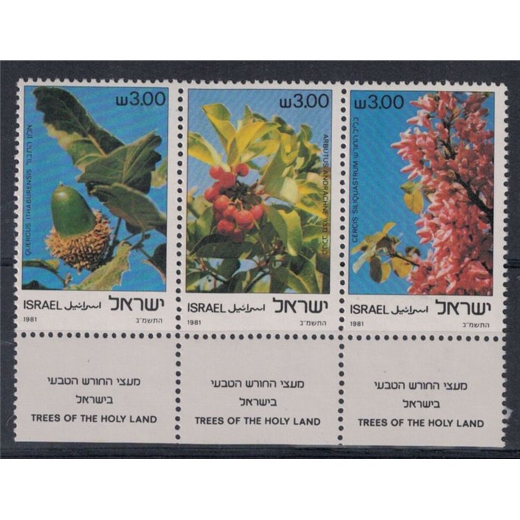 ISRAELE 1981 Flora 3v MNH**