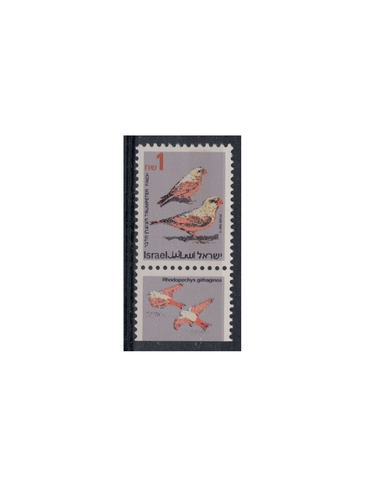 ISRAELE 1995 Serie ordinaria, uccelli canterini MNH**