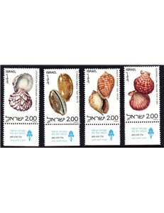 ISRAELE 1977 Conchiglie - Shells 4v MNH**