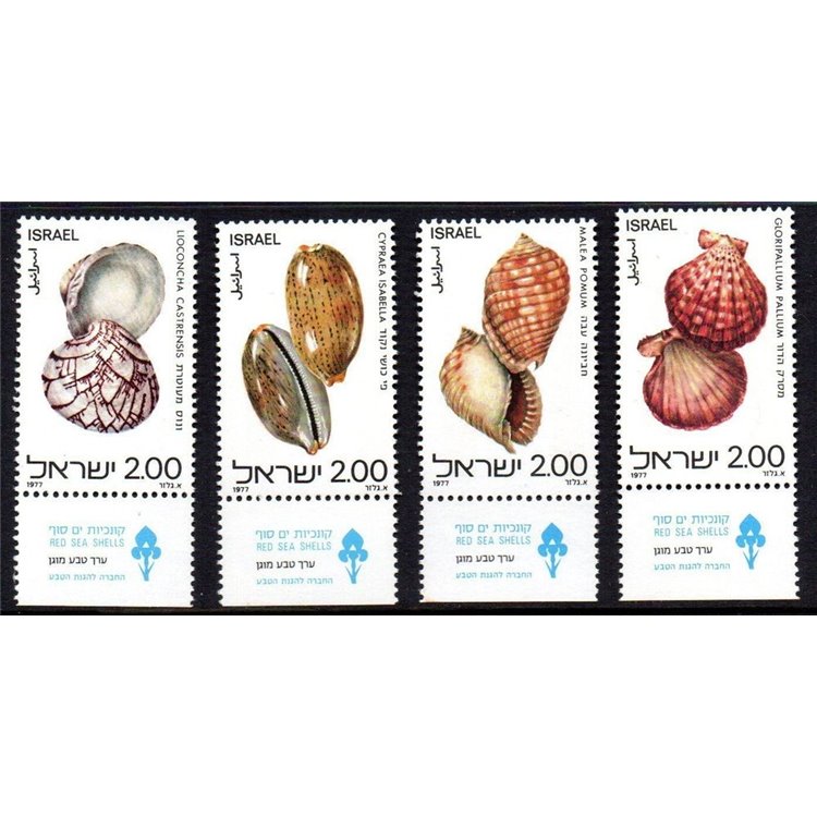 ISRAELE 1977 Conchiglie - Shells 4v MNH**