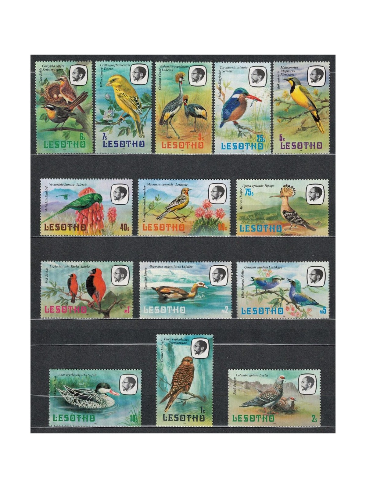 LESOTHO 1981 Fauna, birds 14v MNH**