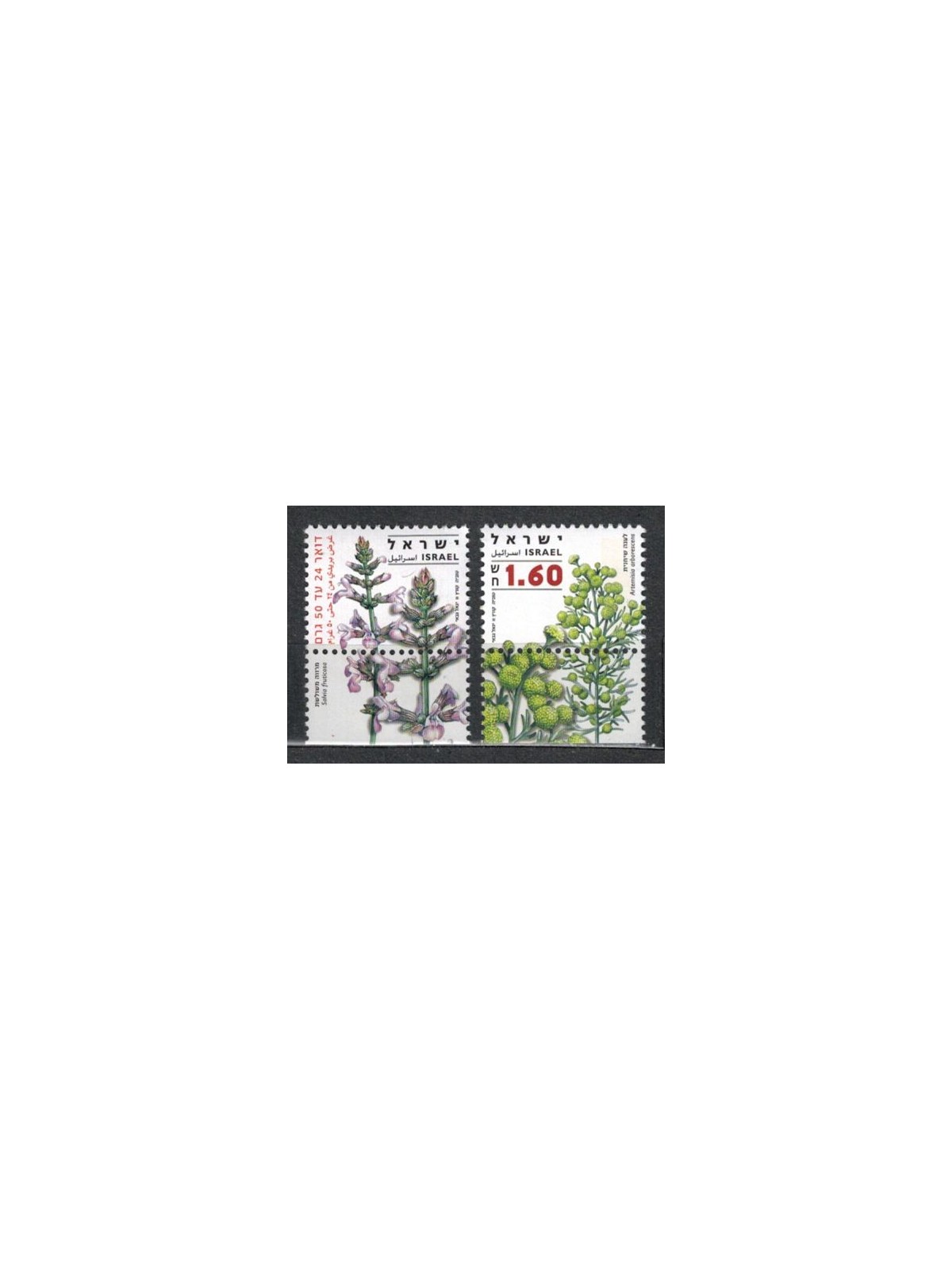 ISRAELE 2008 Piante, salvia fruticosa 2v MNH**