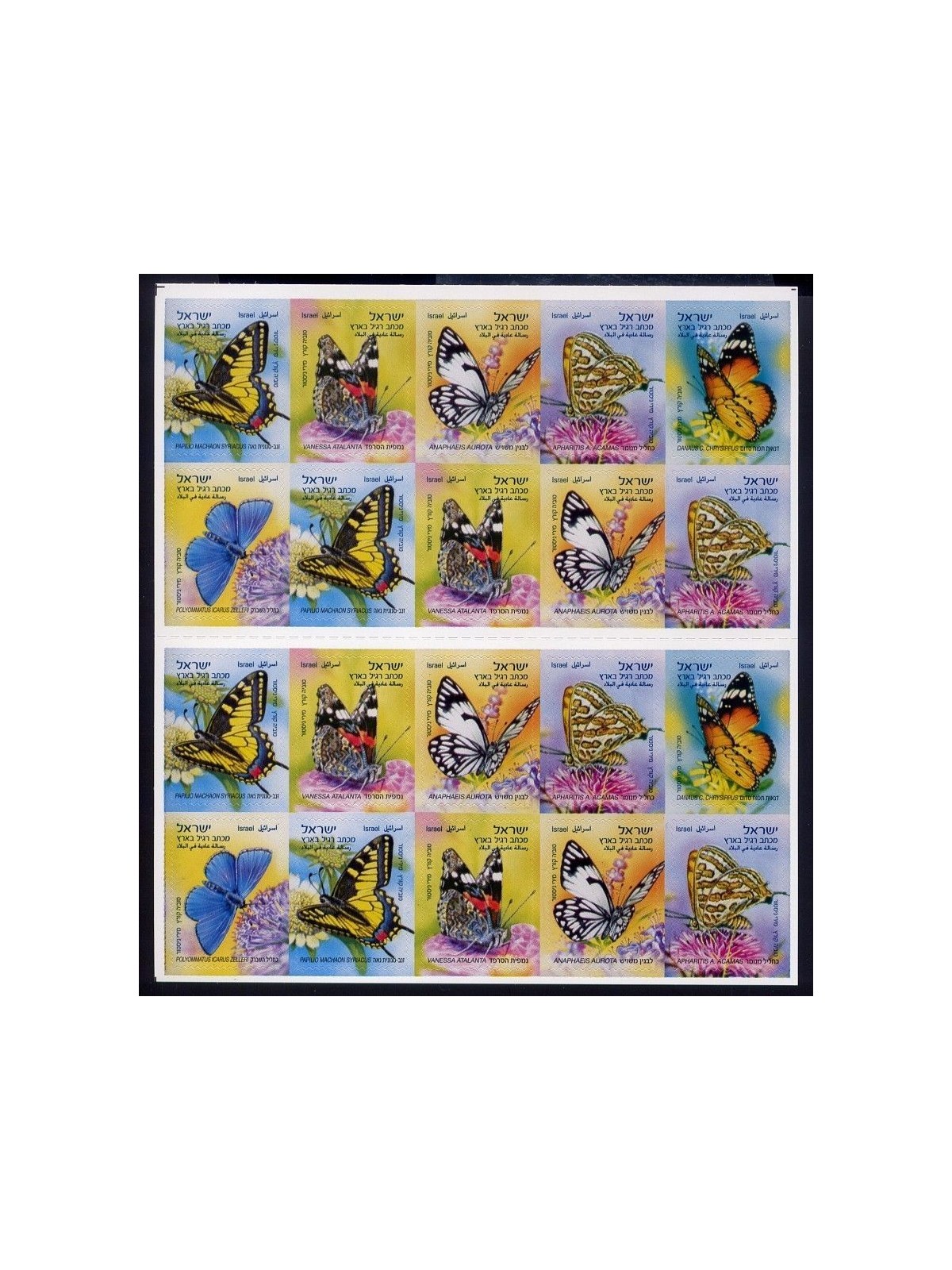 ISRAELE 2011 Farfalle 1 LB MNH**