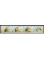 LESOTHO 1998 Protected Animals, Cape Griffon Vulture 4v MNH**