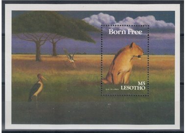 LESOTHO 1991 Film su temi africani BF MNH**