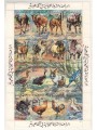 LIBIA 1983 Animali domestici 16v MNH**