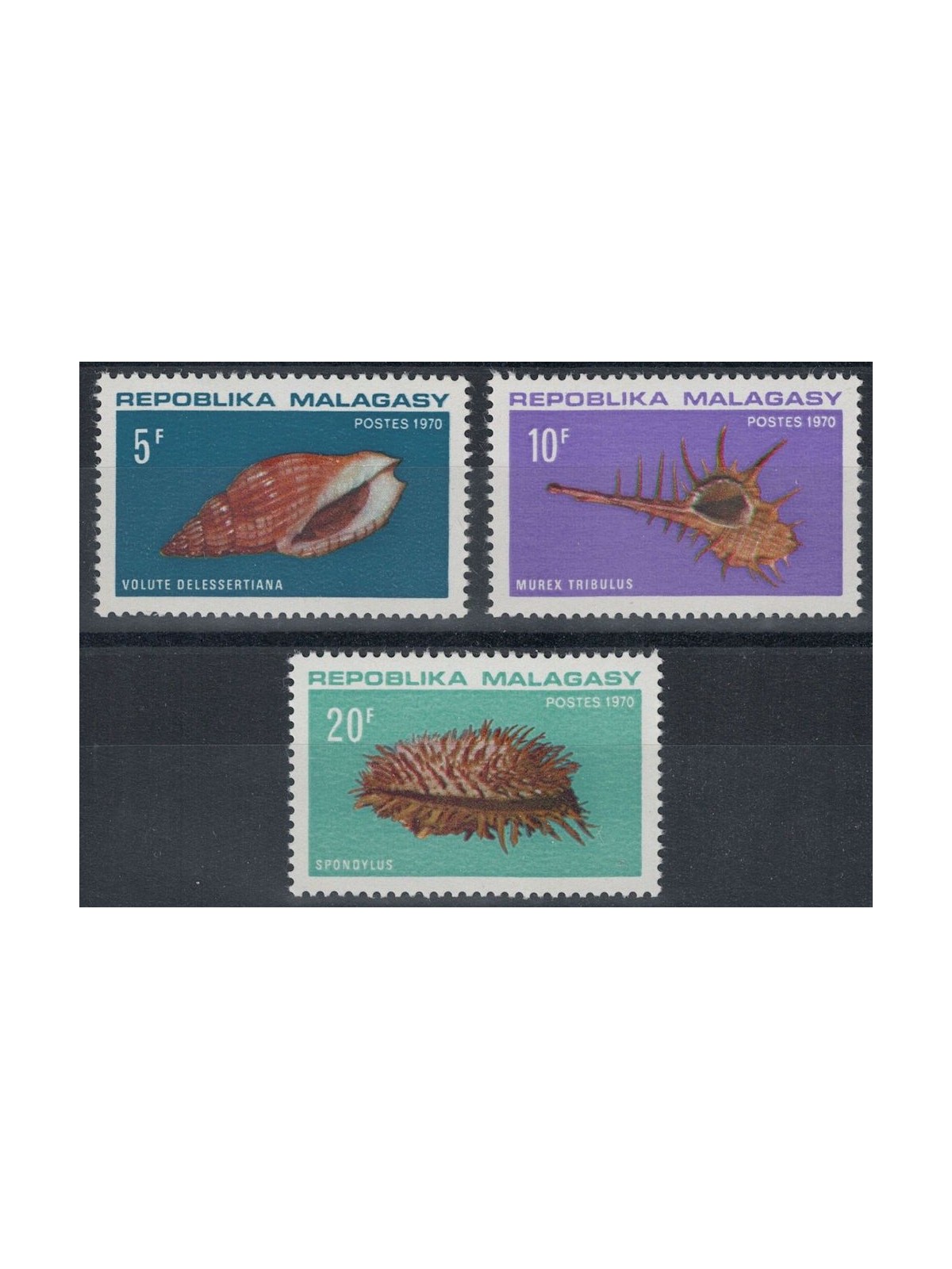 MADAGASCAR 1970 Conchiglie 3v MNH**