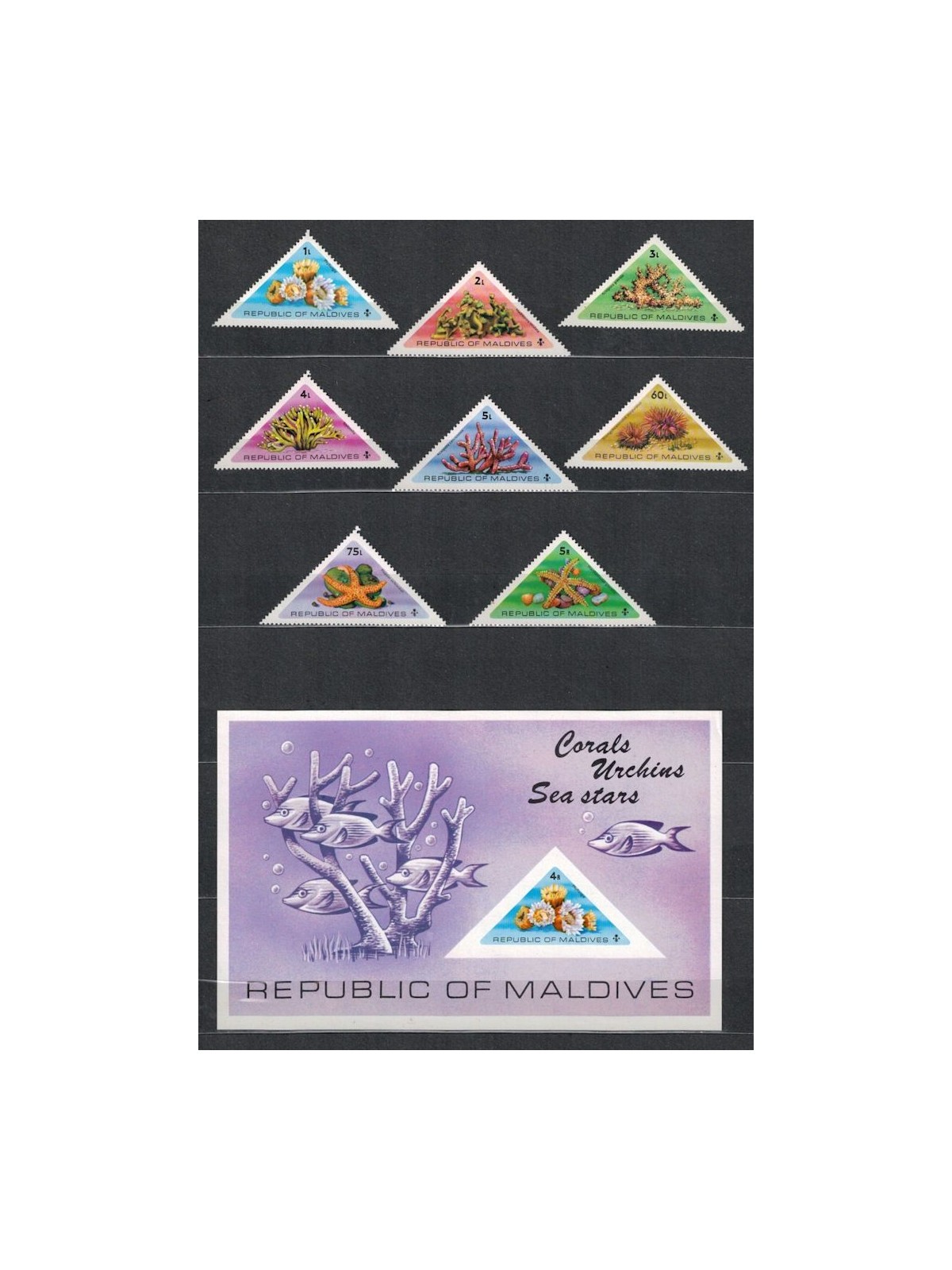 MALDIVE 1975 Coralli, ricci e stelle marine 8v + 1 BF MNH**