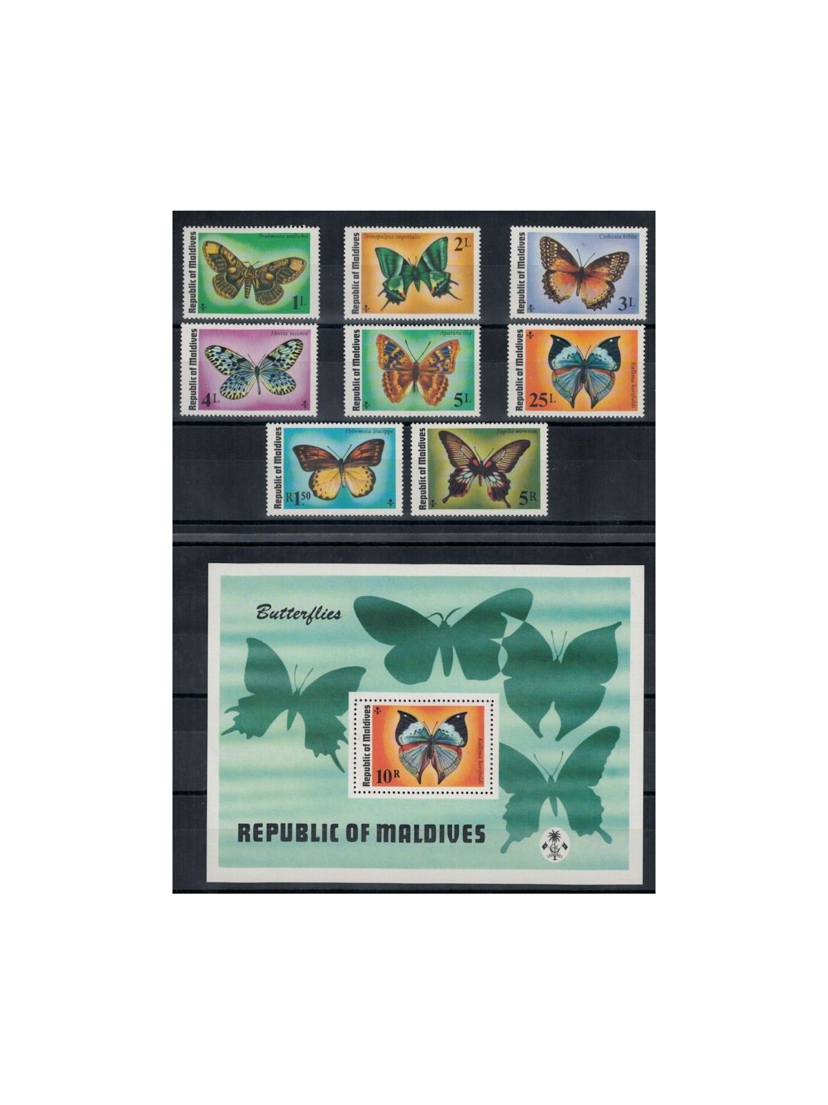 MALDIVE 1975 Fauna, farfalle 8v + 1 BF MNH**