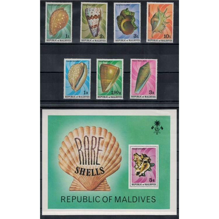 MALDIVES 1978 Marine fauna, shells 7v + 1 s/s MNH**