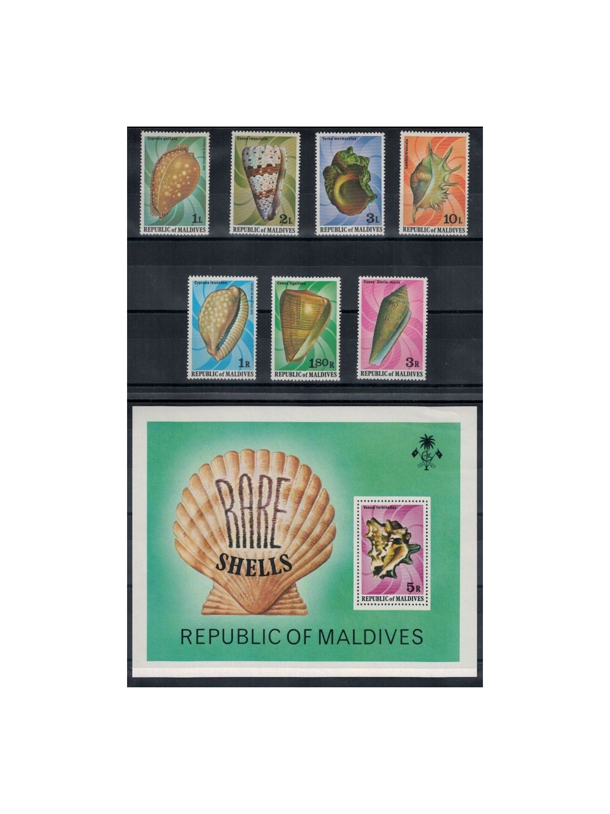 MALDIVES 1978 Marine fauna, shells 7v + 1 s/s MNH**