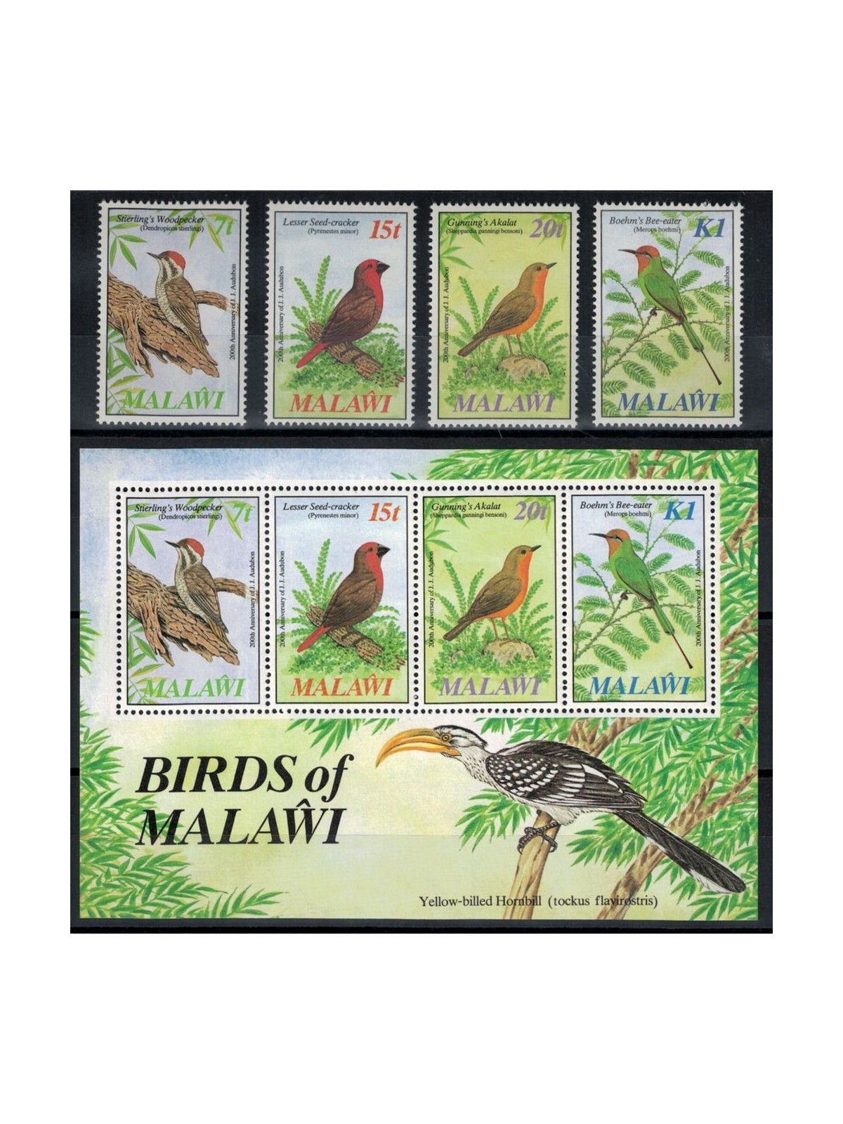 MALAWI 1985 John James Audubon, uccelli 4v + 1 BF MNH**