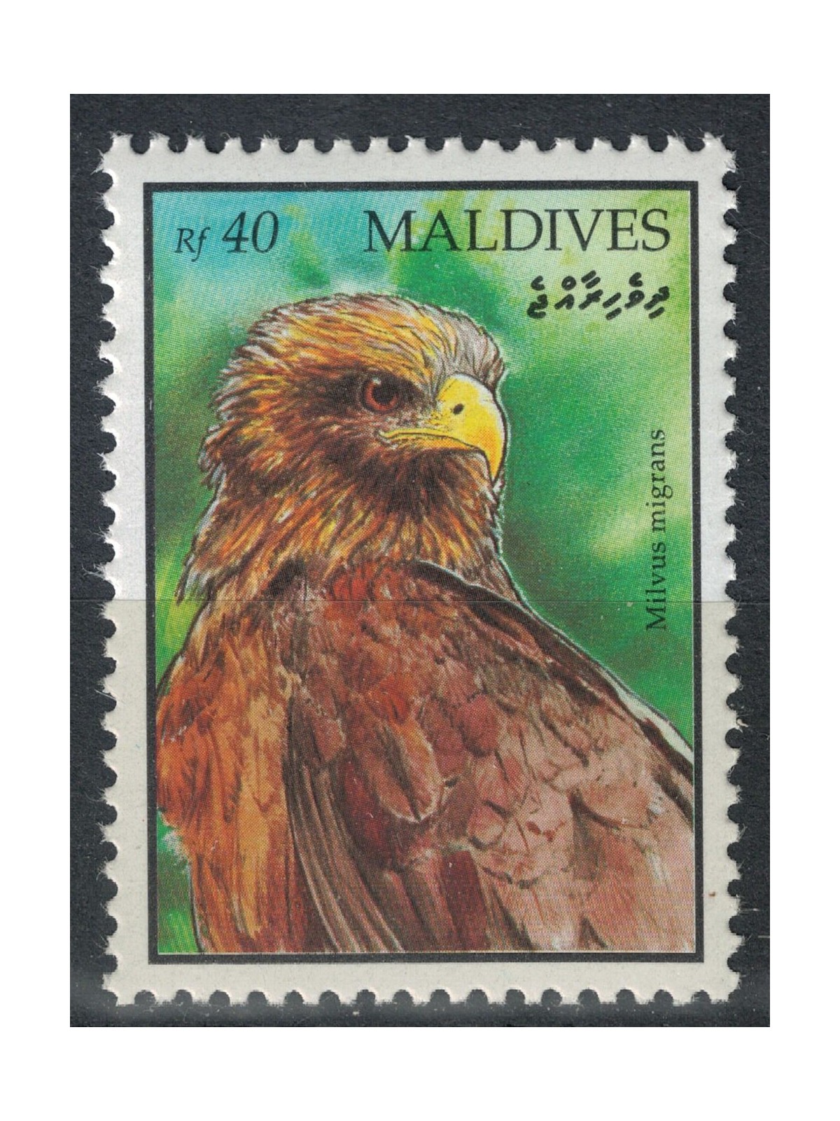MALDIVE 1993 Serie ordinaria, uccelli MNH**