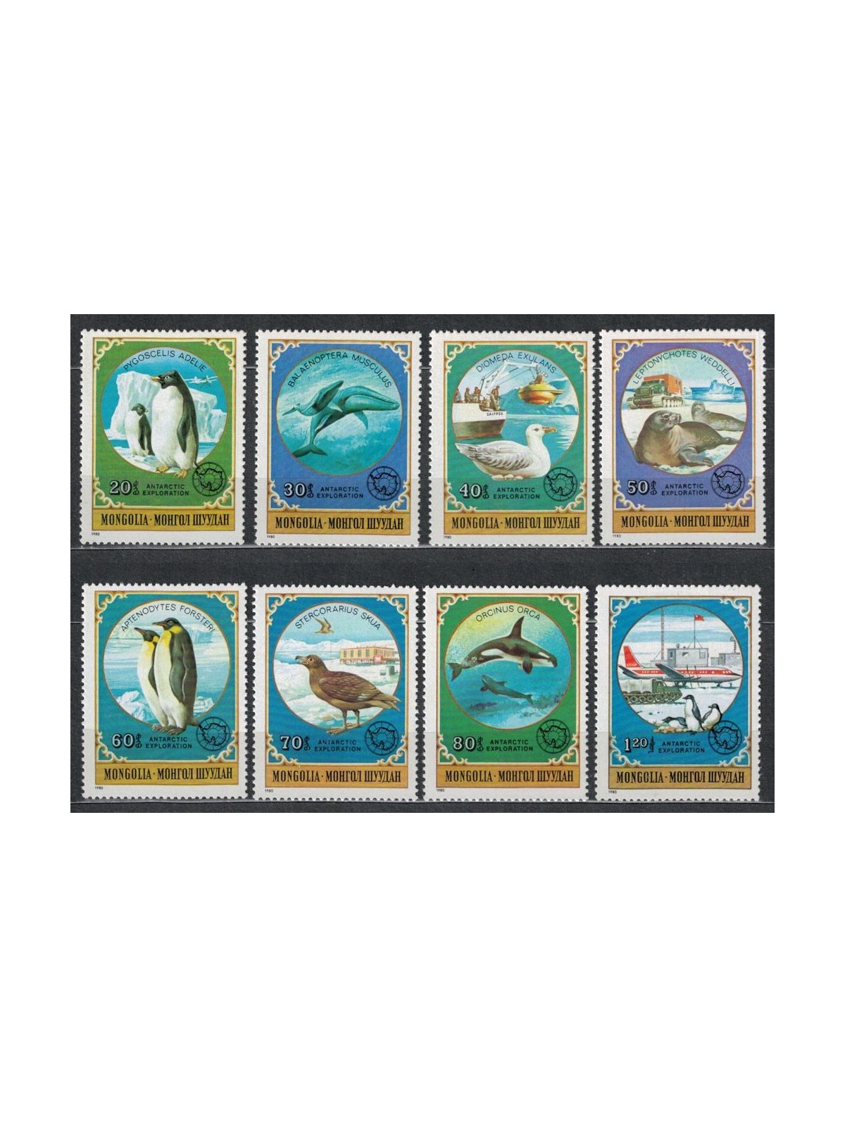 MONGOLIA 1980 Antarctic fauna 8v MNH**