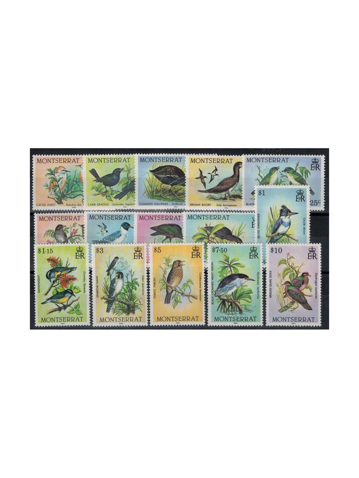 MONTSERRAT 1984 Ordinary series, birds 15v MNH**