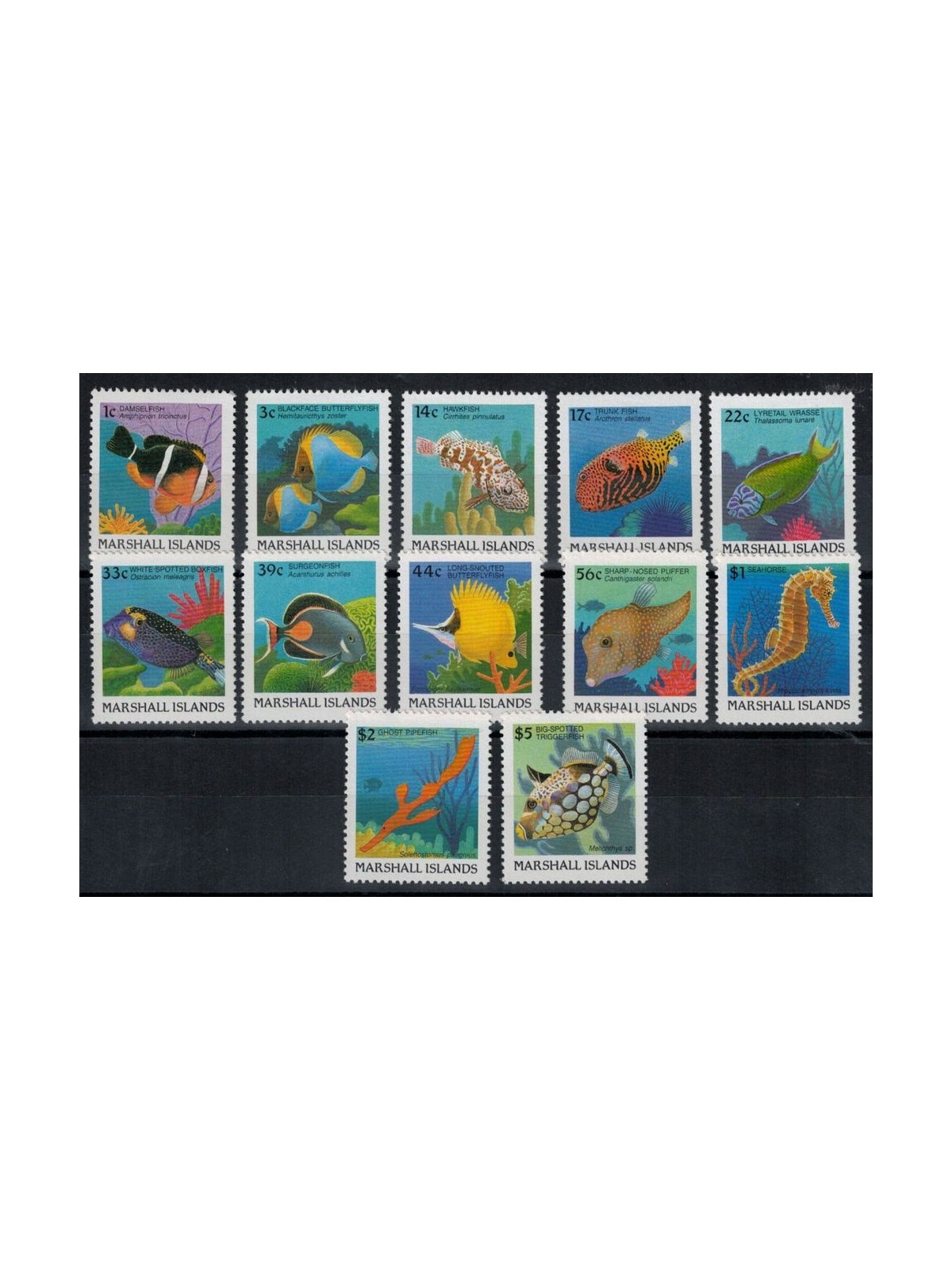MARSHALL ISLANDS 1988 Ordinary series, fish 12v MNH**