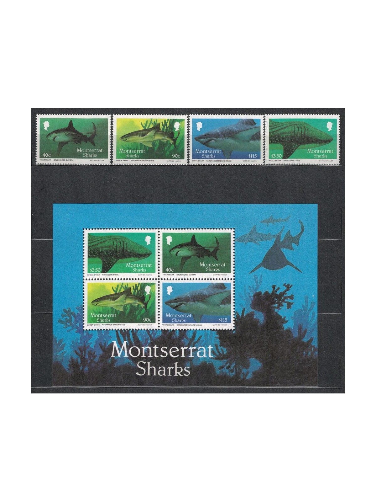 MONTSERRAT 1987 Fauna marina, squali 4v + 1 BF MNH**